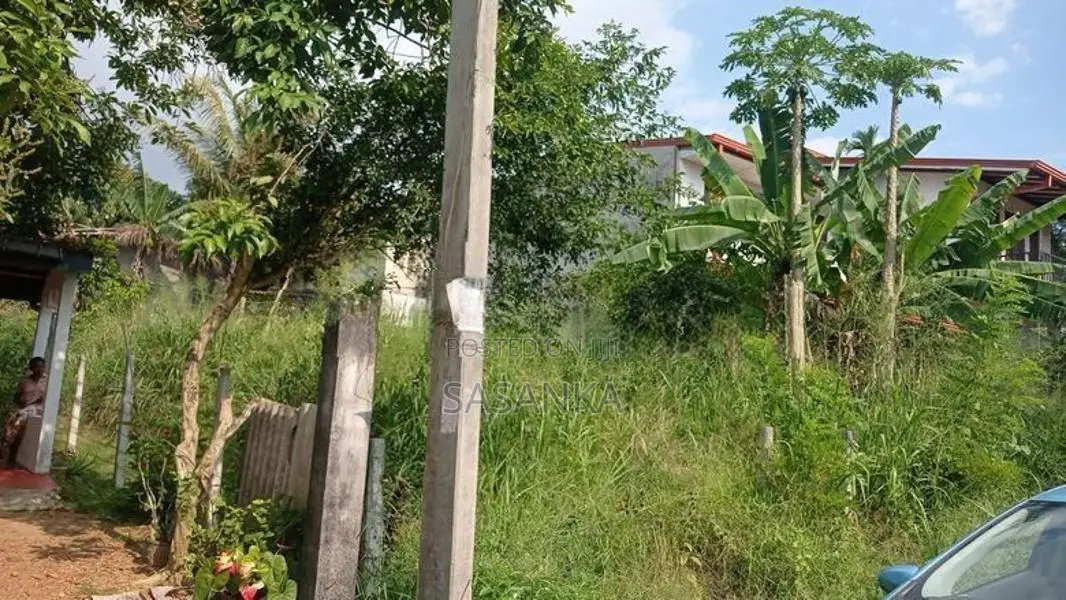 පිළියන්දල කහතුඩුව පර්චස් 10 ඉඩම විකිණීමට ඇත