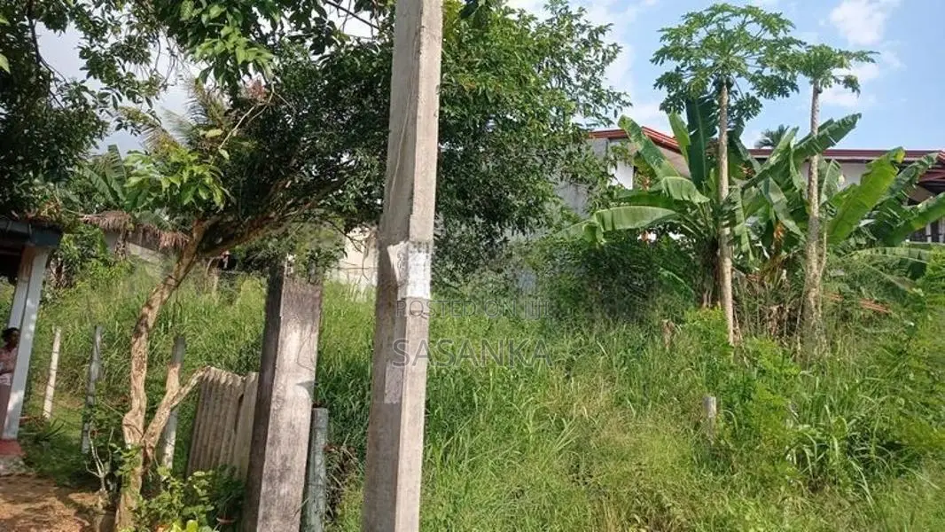 පිළියන්දල කහතුඩුව පර්චස් 10 ඉඩම විකිණීමට ඇත