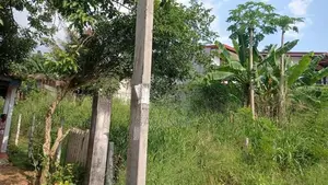 පිළියන්දල කහතුඩුව පර්චස් 10 ඉඩම විකිණීමට ඇත
