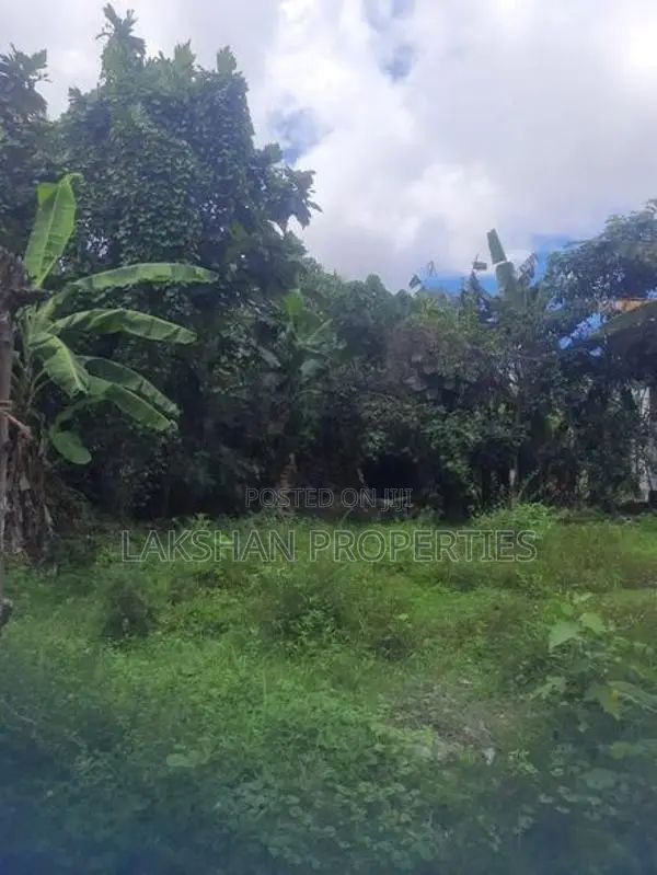 Land For Sale In Boralesgamuwa werahera