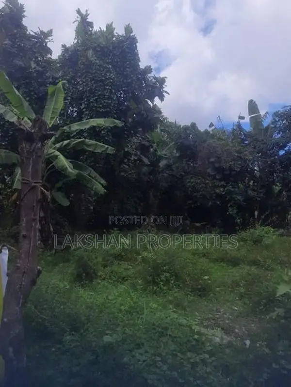 Land For Sale In Boralesgamuwa werahera