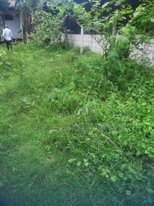 Land For Sale In Boralesgamuwa werahera