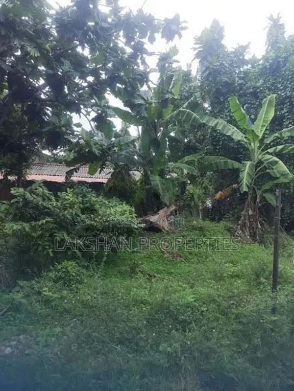 Land For Sale In Boralesgamuwa werahera