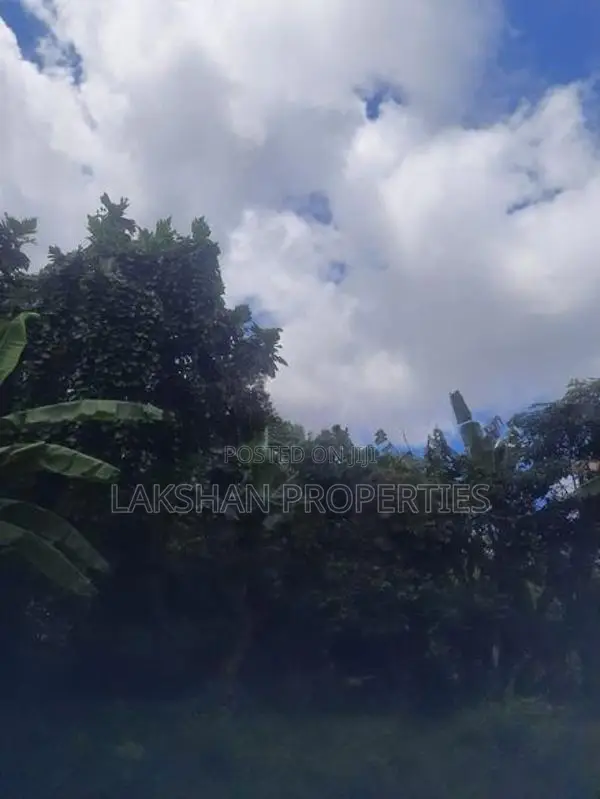 Land For Sale In Boralesgamuwa werahera