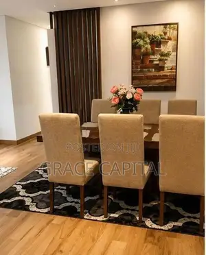 Fully furnished apartment for rent