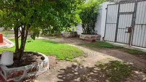House for rent in colombo 09