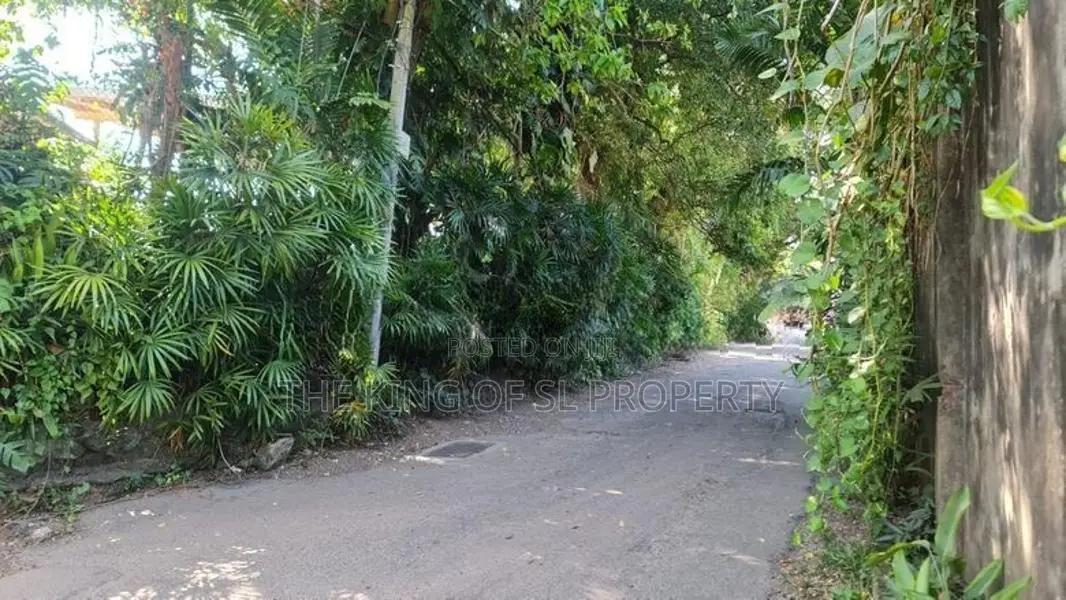 Land for sale in Colombo 05