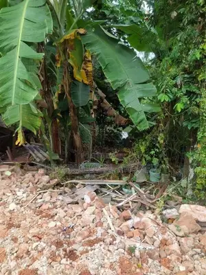 Land for sale in Rajagiriya