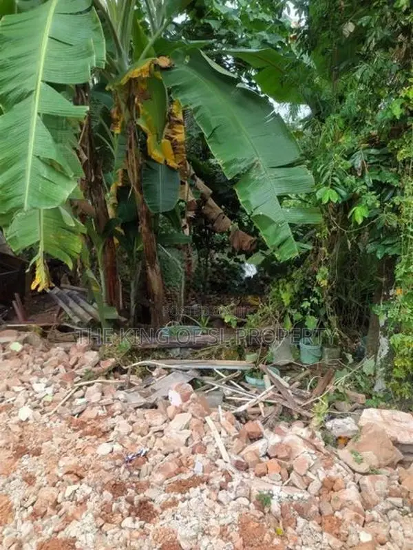 Land for sale in Rajagiriya