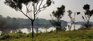 Land for sale in Panadura (Hirana)