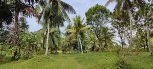 Land for sale in Panadura (Hirana)
