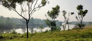 Land for sale in Panadura (Hirana)