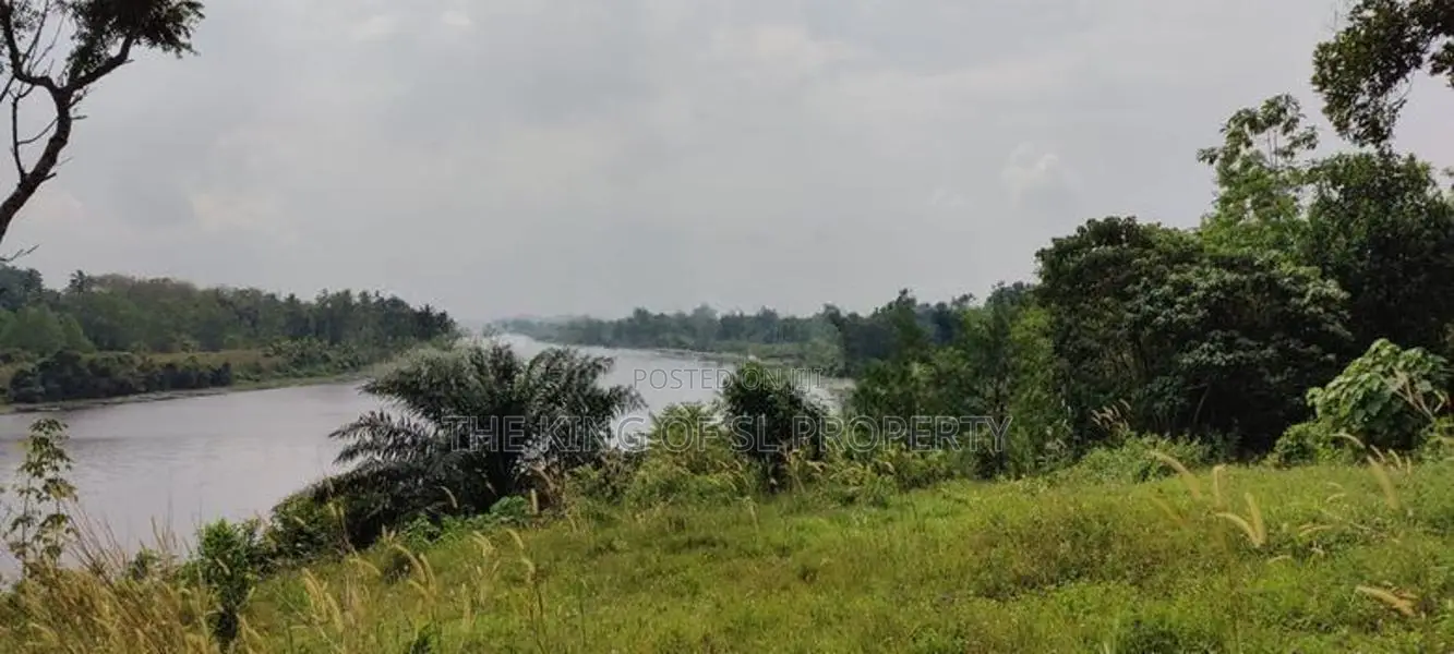 Land for sale in Panadura (Hirana)