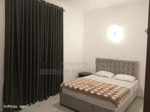 Fully Furnished Luxury Apartment Rent in Colombo 3