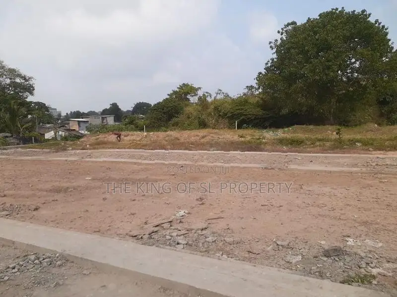 Land for sale in Colombo 14