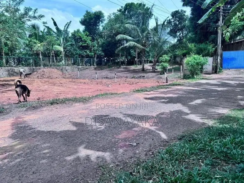 Ds6002/Land for Sale in thalawathugoda