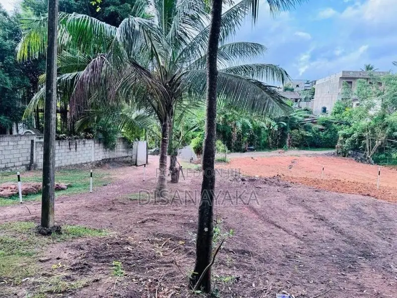 Ds6002/Land for Sale in thalawathugoda