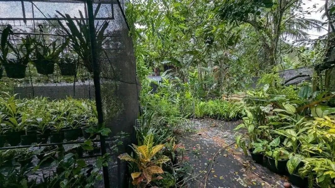 කොළඹ කඩුවෙල 17 බස් මාර්ගයට ලගින් කුඩා නිවසක් සහිත ඉඩම