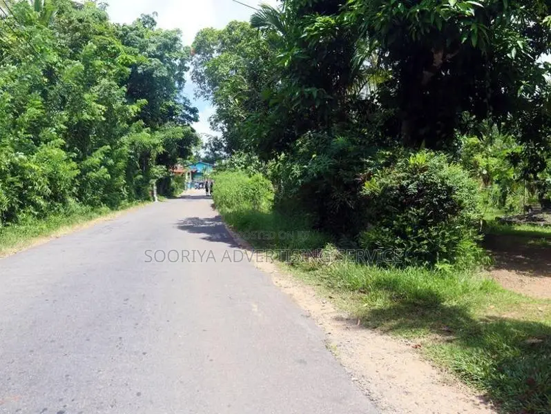 Land with House for Sale in Horana – Scenic Paddy Field Views