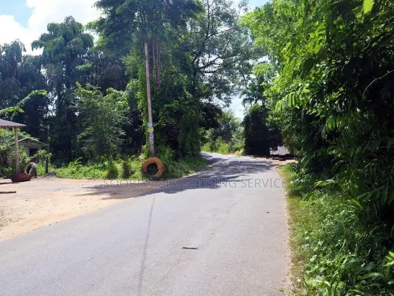 Land with House for Sale in Horana – Scenic Paddy Field Views