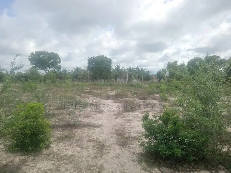 HHL1117 - Land for sale in Thannamunai