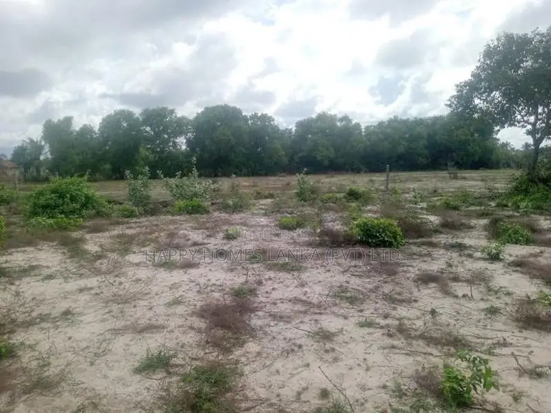 HHL1117 - Land for sale in Thannamunai