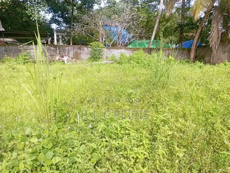 30 perches Land for sale in Deman Handiya, Negombo.Gampha.