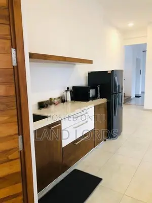 40P Multi Residential and Commercial Building FOR RENT in Colombo 5