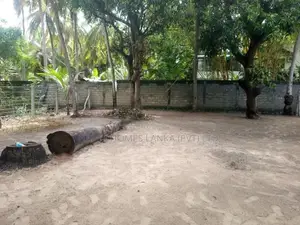 HHL1047 - Land for sale in Palameenmadu