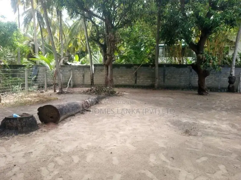 HHL1047 - Land for sale in Palameenmadu