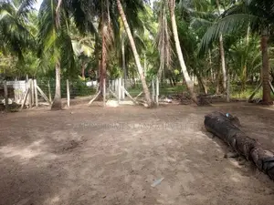 HHL1047 - Land for sale in Palameenmadu