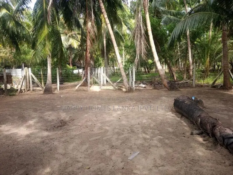 HHL1047 - Land for sale in Palameenmadu