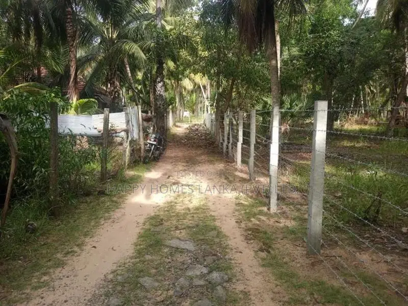 HHL1047 - Land for sale in Palameenmadu
