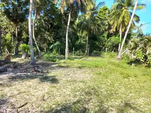 HHL0360 - Land for sale in Mylambaveli