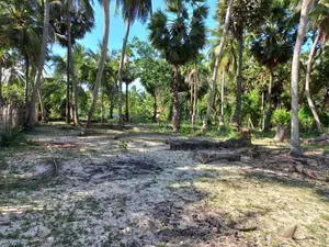 HHL0360 - Land for sale in Mylambaveli
