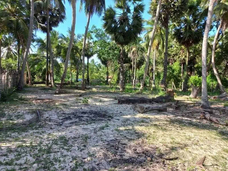 HHL0360 - Land for sale in Mylambaveli