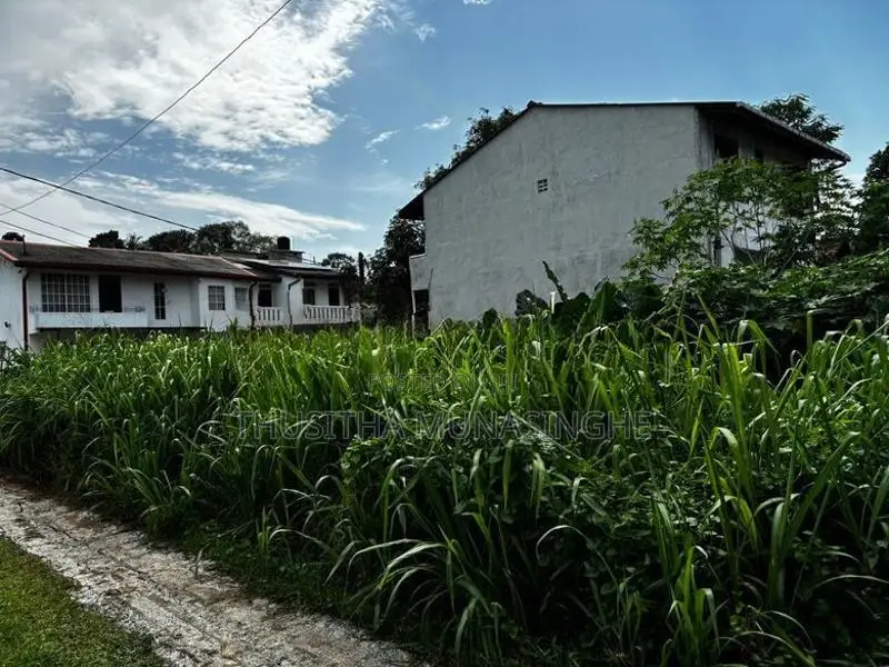 14 Perches Land For Sale In Colombo 6