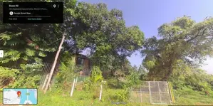 Waterfront Estate Overlooking Parliament Lake and the Bird Sanctuary