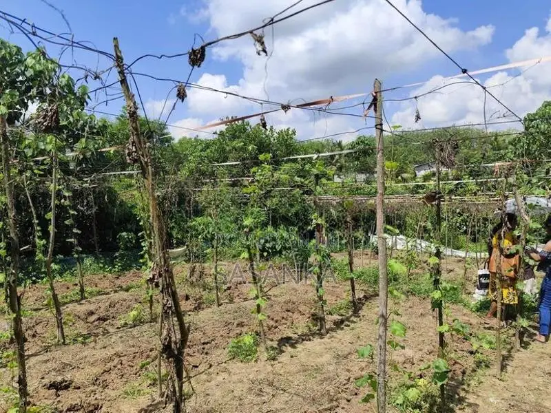 පාදුක්ක ඔවිලන පර්චස් 16.20 ඉඩම විකිණීමට