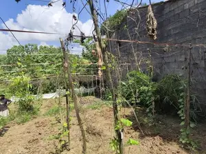 පාදුක්ක ඔවිලන පර්චස් 16.20 ඉඩම විකිණීමට