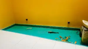 Luxury 3 Storied House In Boralesgamuwa
