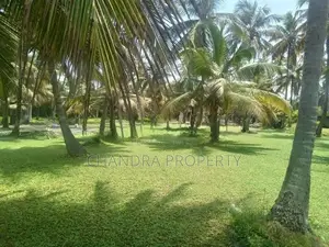 Coconut Land For Sale in Pamunugama