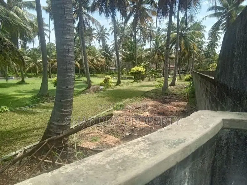 Coconut Land For Sale in Pamunugama