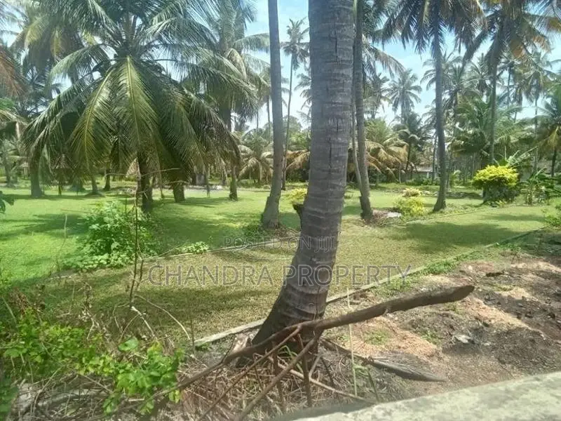 Coconut Land For Sale in Pamunugama