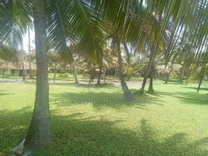 Coconut Land For Sale in Pamunugama