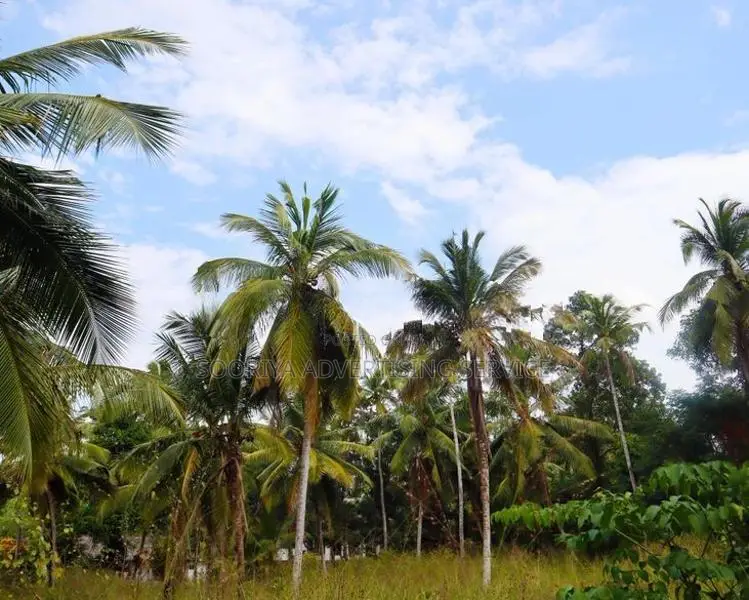 Prime Development Land for Sale in Yakkala Near Gampaha