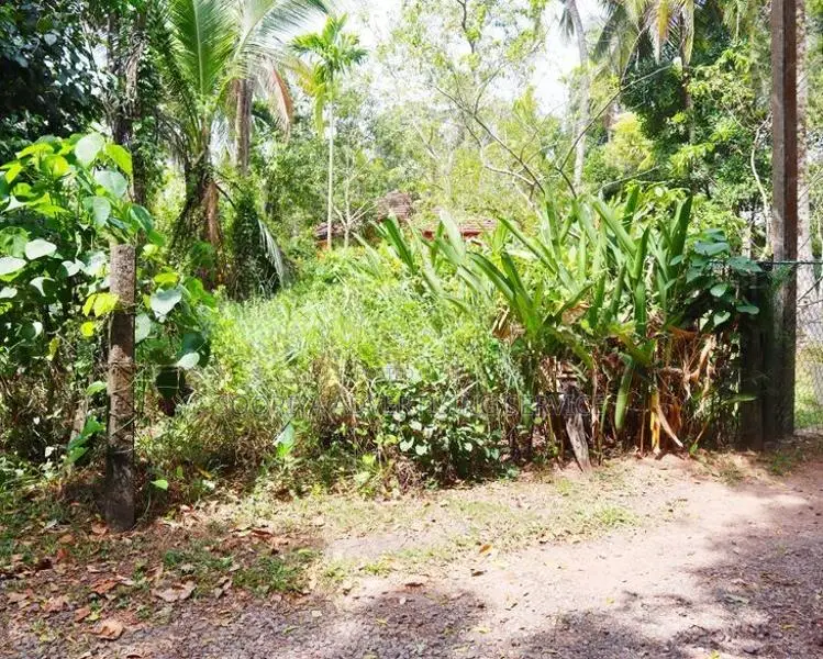 Prime Development Land for Sale in Yakkala Near Gampaha