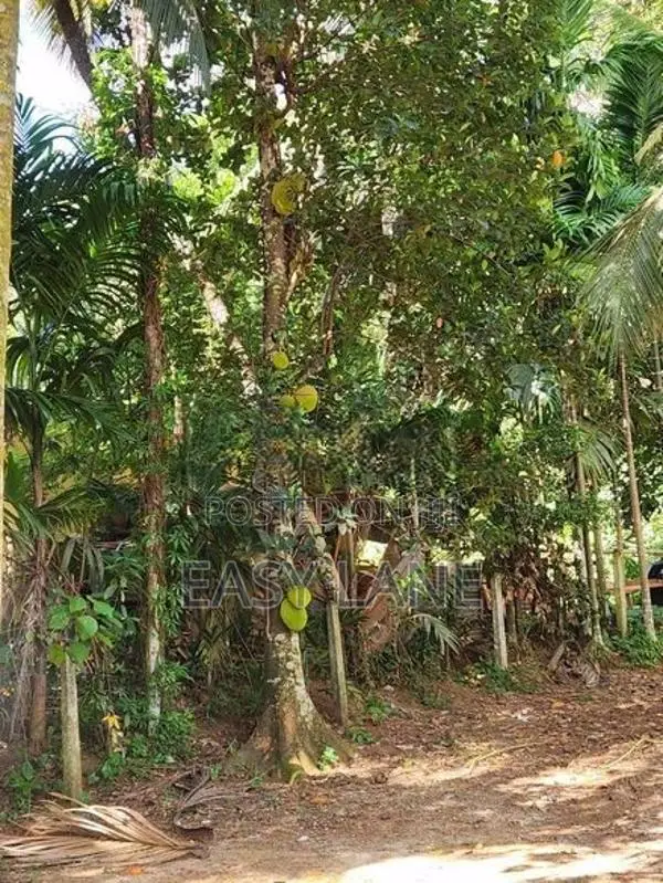 Land for sale in meegoda