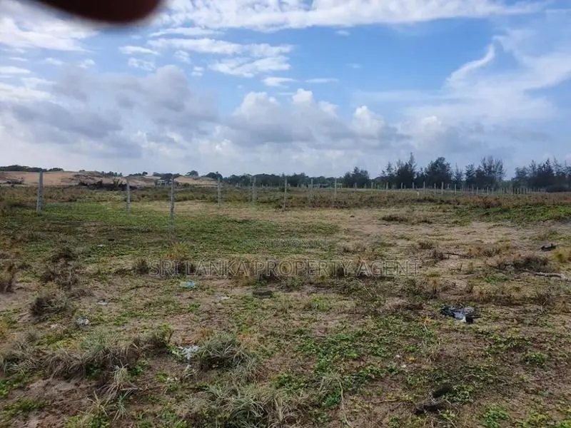2.5 Acre Land for sale Pottuvil Near Arugam Bay