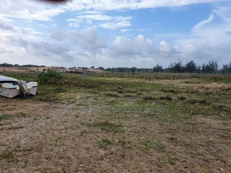 2.5 Acre Land for sale Pottuvil Near Arugam Bay